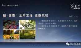 土解斑最新爆料,揭秘娱乐圈惊天秘密